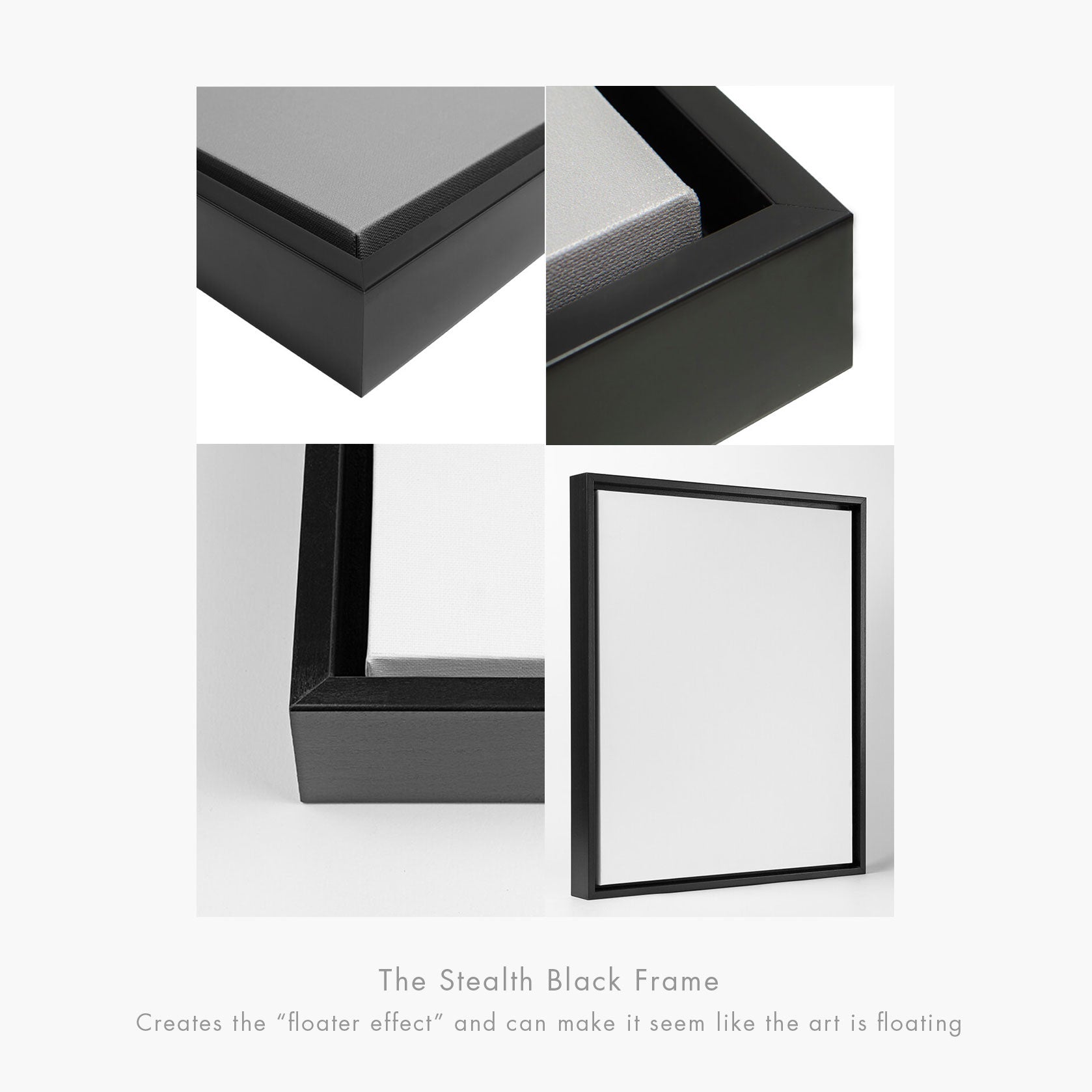 LA25—Canvas—BacktoBack